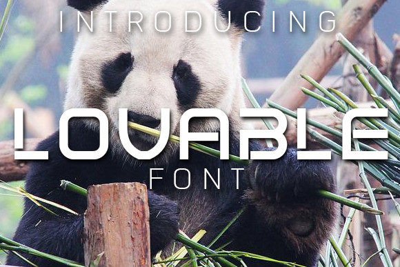 Why Lovable Is the Perfect Display Typeface for Modern Designers